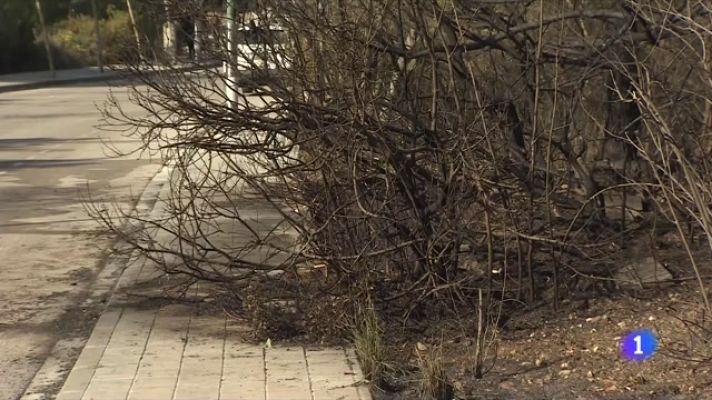 L'Informatiu - L'Informatiu 2 - 15/03/2023