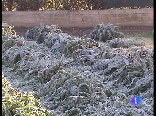 Informativo Telerioja - Informativo Telerioja - 02/02/10