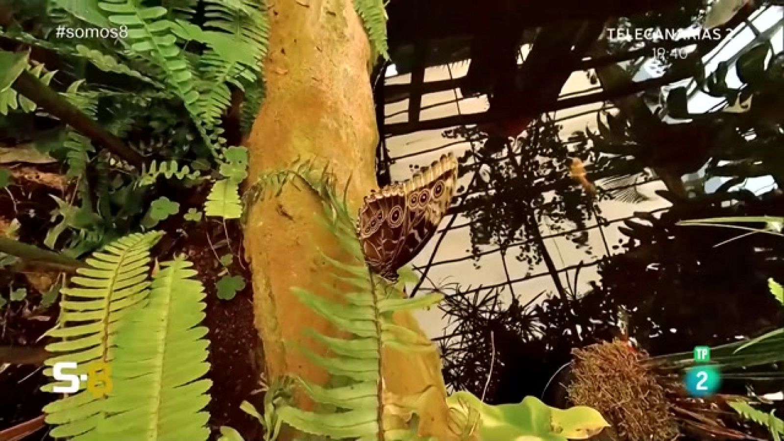 SOMOS 8 - 15/03/2023