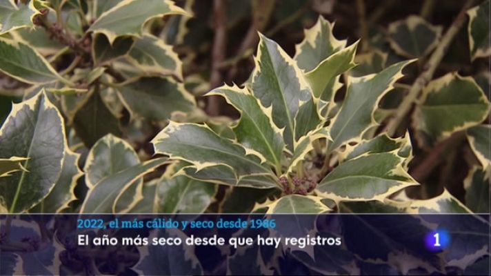 Informativo Telerioja - Informativo Telerioja  - 17/03/23