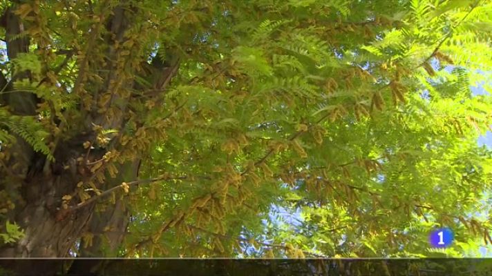 L'Informatiu - L'Informatiu 2 - 17/03/2023