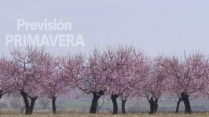 Noticias Andalucía - La primavera que viene