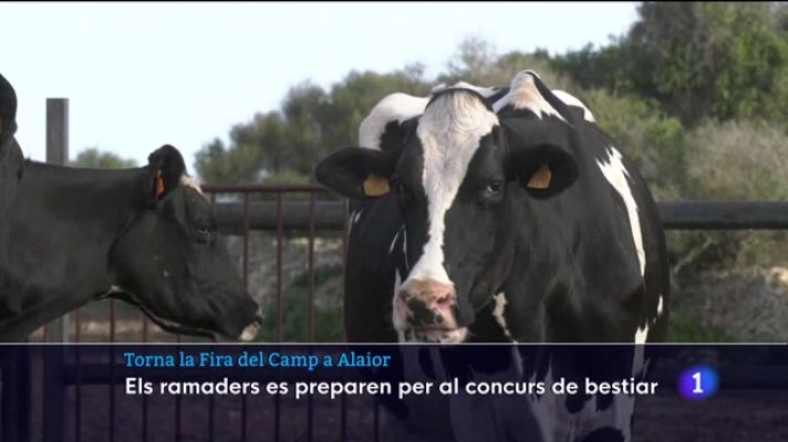 Informatiu Balear - Torna la Fira del Camp
