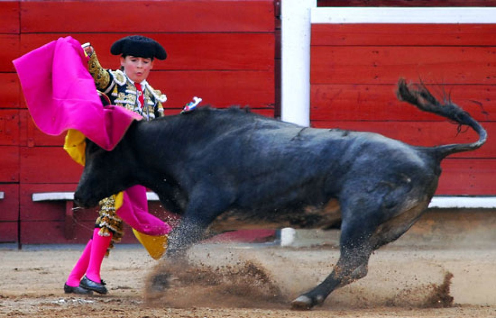 Michelito, el niño torero, se recupera después de las lesiones que le provocó un novillo en Colombia | Ver