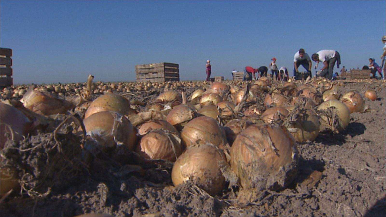 Agrosfera - 18/03/23 - ver ahora