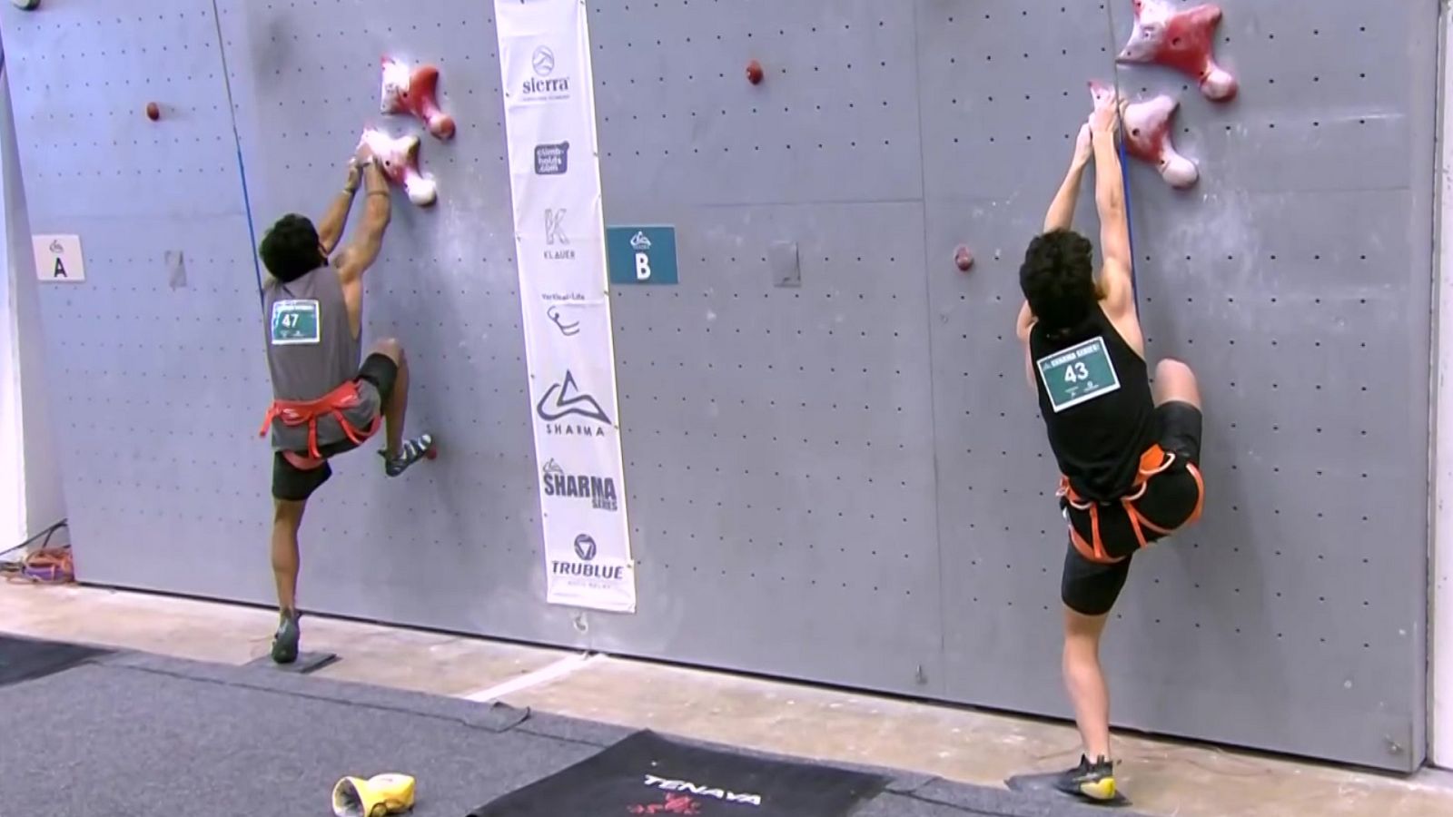 Escalada - Sharma Series. 1/4 final, semifinales y finales velocidad - ver ahora