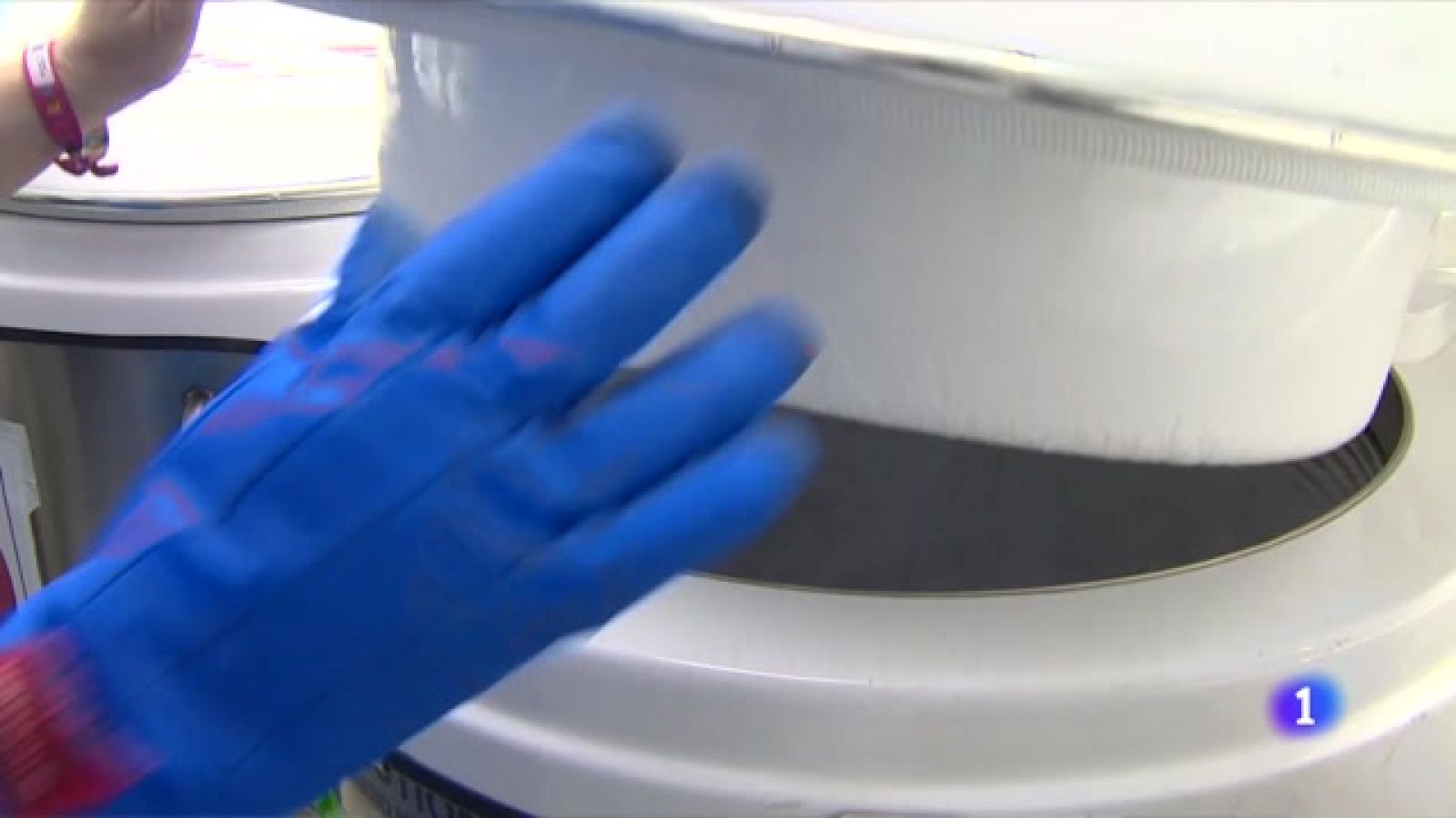 Qué hacer con el exceso de embriones congelados -Ver ahora