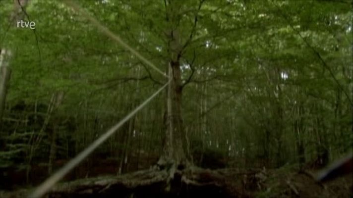 Metrópolis - PIKSEL XX (VOS)