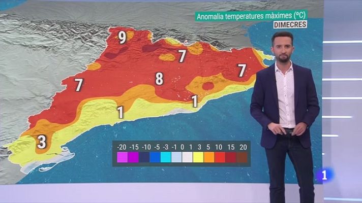 El temps - La primavera arriba amb el Dia Internacional dels Boscos