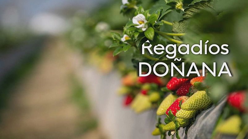 Bruselas advierte en defensa de Doñana