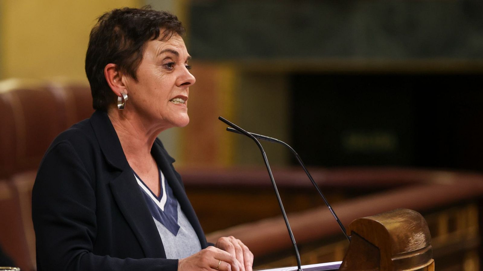 Discurso íntegro de la portavoz de EH Bildu en la moción de censura - La tarde en 24h | Ver