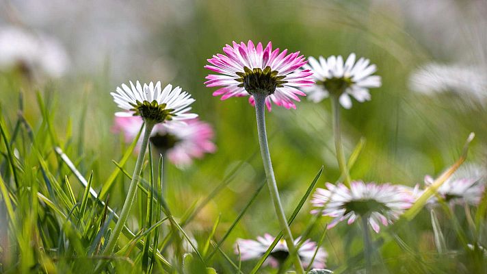 El tiempo - Cielos poco nubosos y subida de temperaturas máximas este miércoles