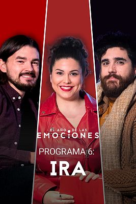 El año de las emociones - Ira