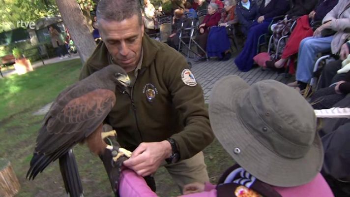 La aventura del Saber - Terapia con rapaces