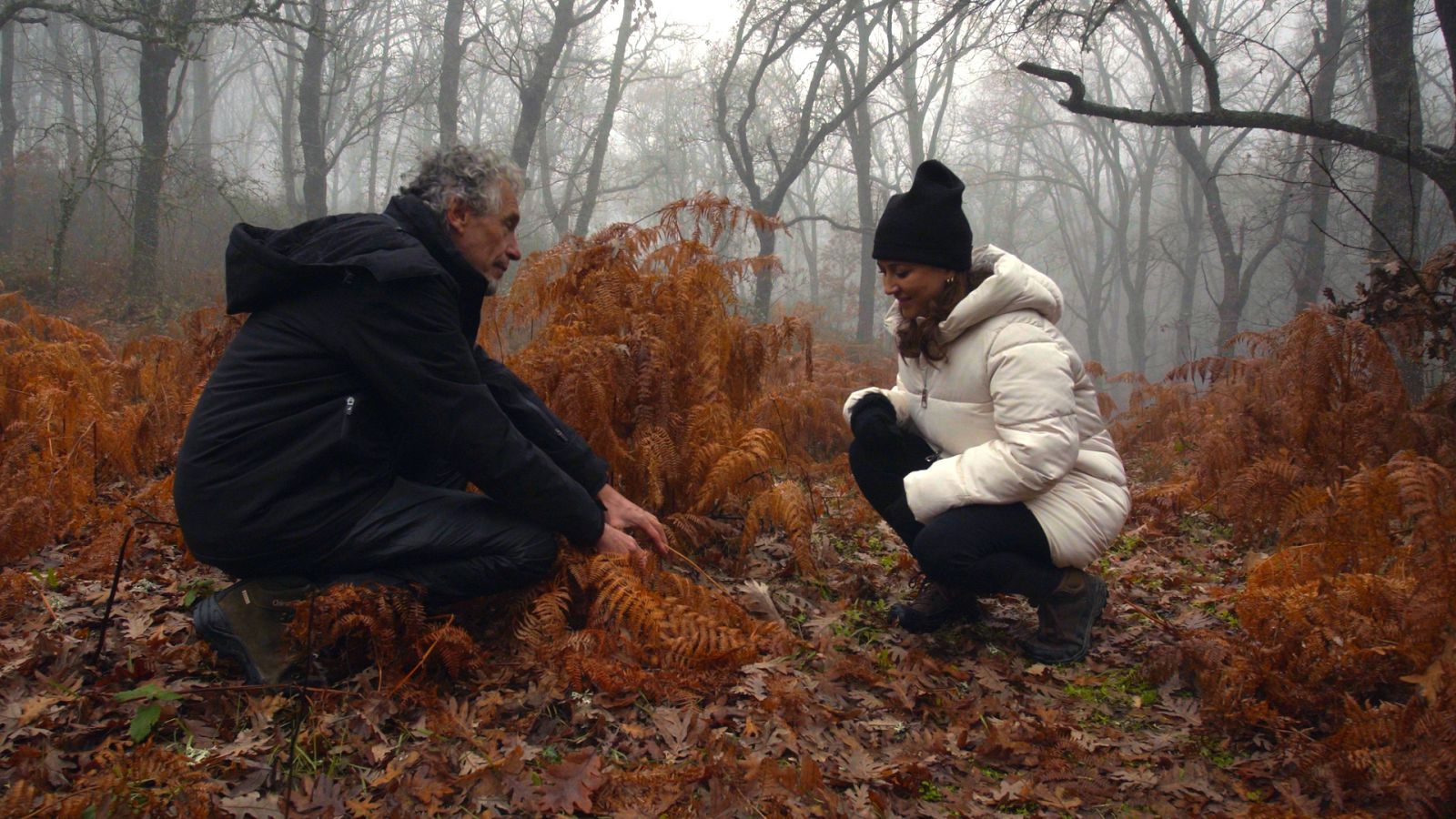 El señor de los bosques - La Dehesa de la Acebeda - Ver ahora
