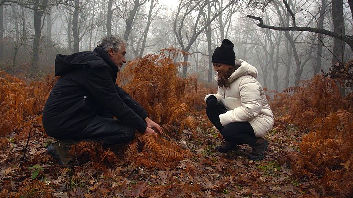 El señor de los bosques - La dehesa de la acebeda