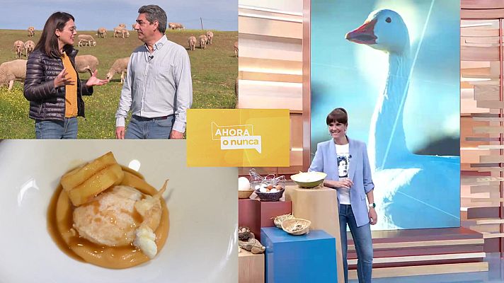 Ahora o nunca - Programa 43