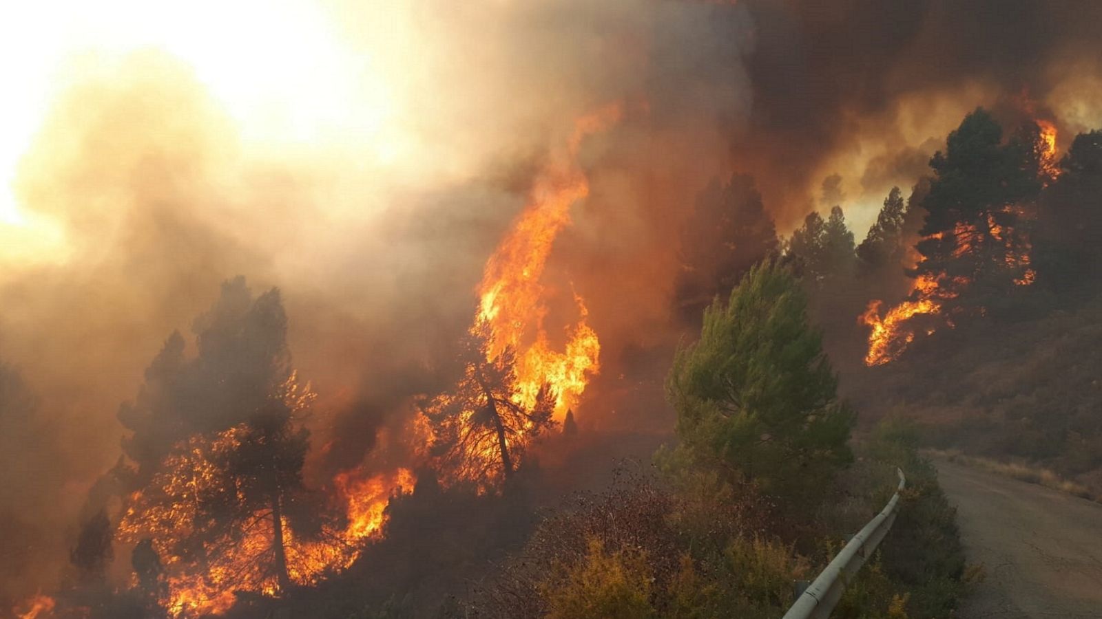 Diario 24 - 24/03/23 - ver ahora