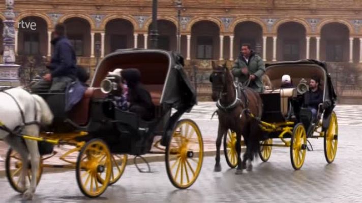 Saber vivir - Descubre Sevilla y sus planes más saludables