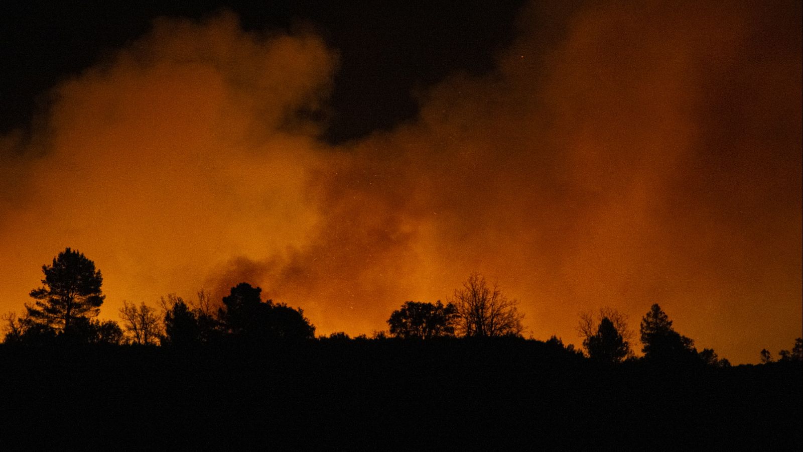 Telediario - 21 horas - 24/03/23 - Lengua de signos - ver ahora