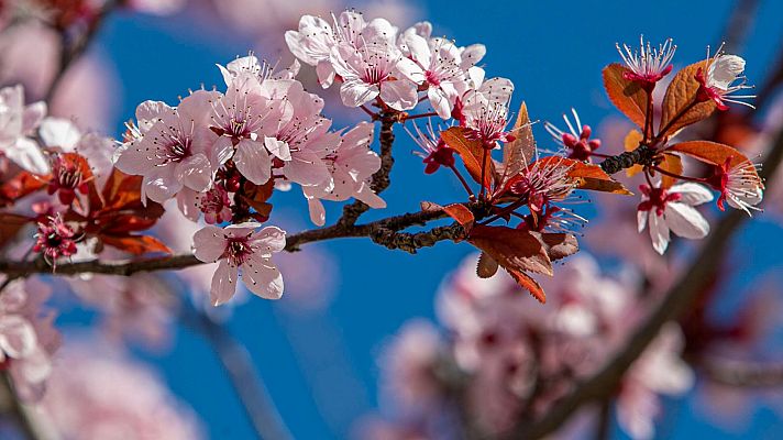 El tiempo - Bajan las temperaturas en el Mediterráneo y en Valencia