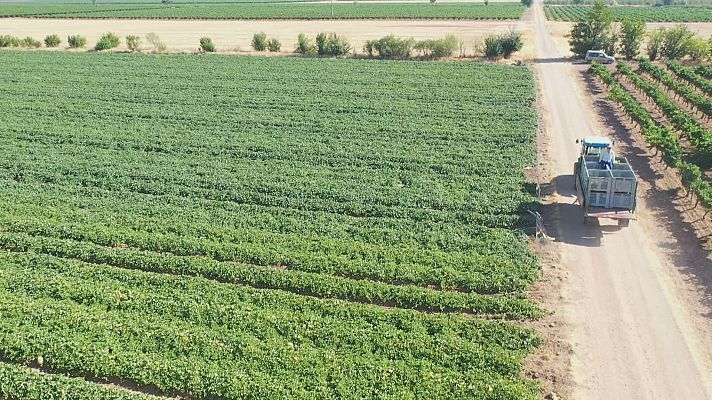 Agrosfera - Agrosfera - 25/03/23