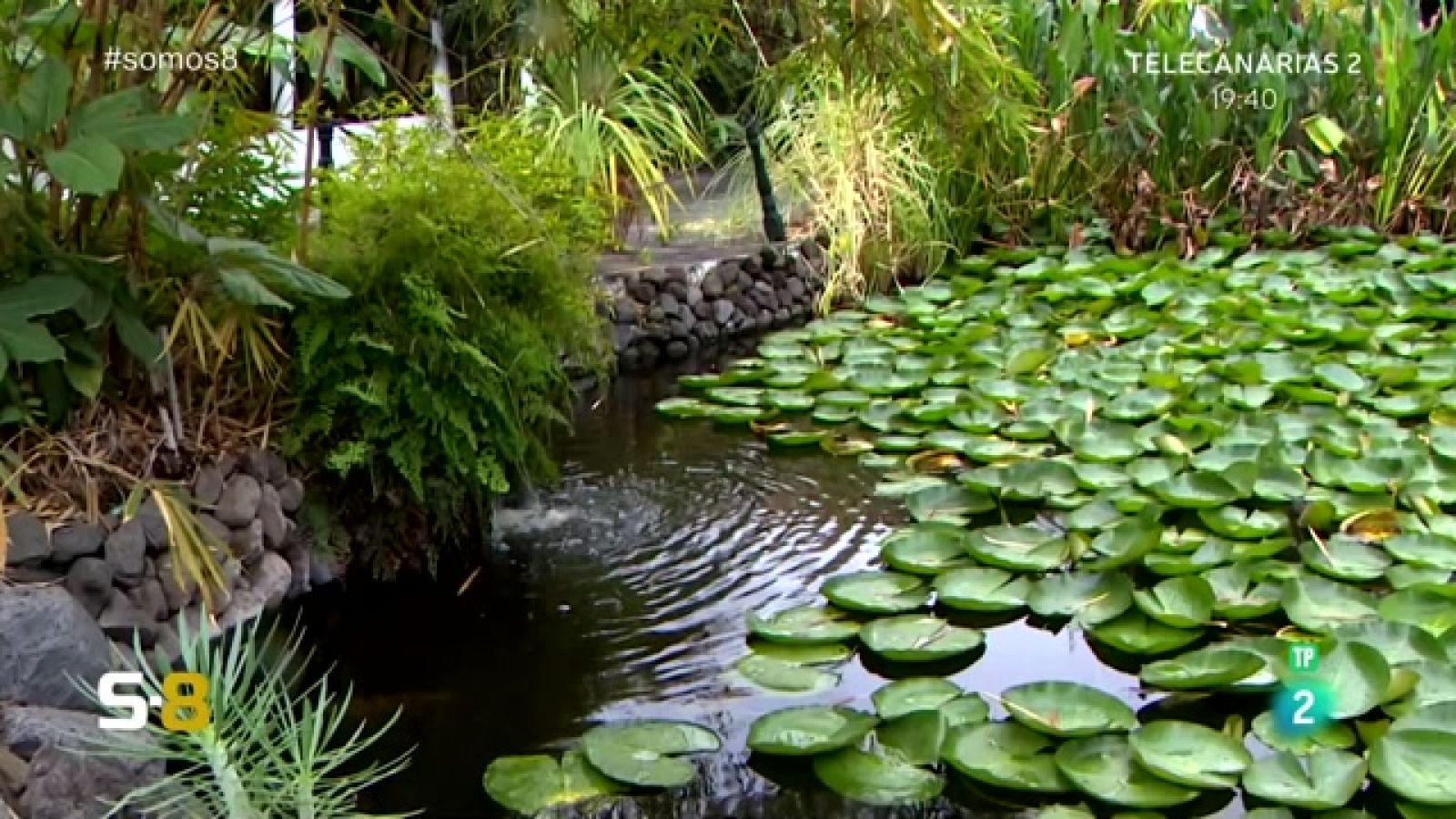 Somos 8 - 24/03/2023 | Magazine de la actualidad canaria - Somos 8 | Ver