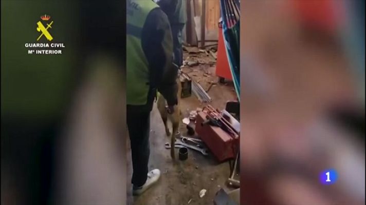 L'Informatiu - Arrestat per fabricar explosius a casa