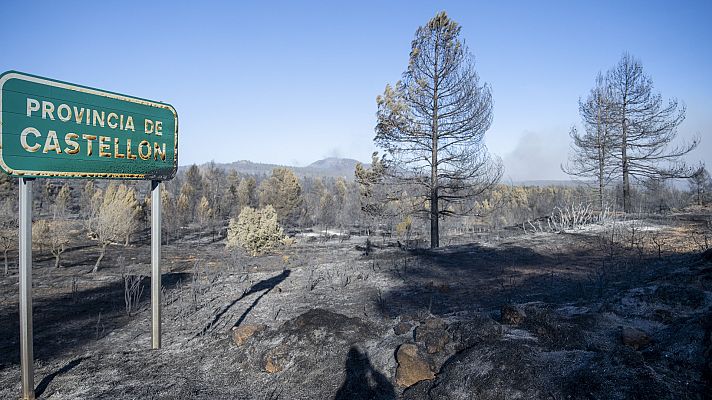 Telediario en lengua de signos - Telediario - 21 horas - 26/03/23 - Lengua de signos