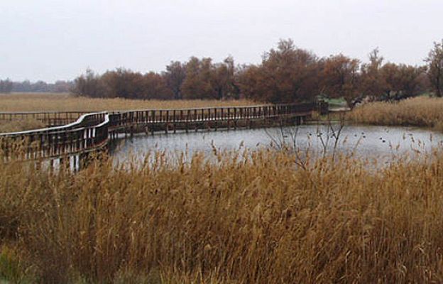 Crónicas - Daimiel: Crónica de un espejismo