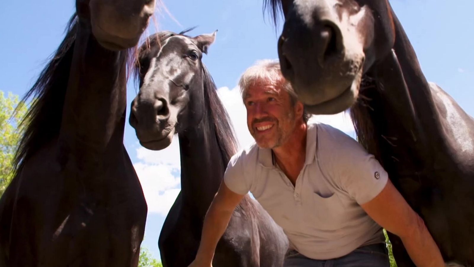 Hípica - Programa FEI Ride - Episodio 6 - ver ahora