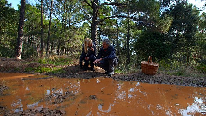 El señor de los bosques - Peña de Cenicientos