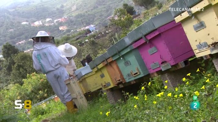 Somos 8 - Somos 8 - 28/03/2023