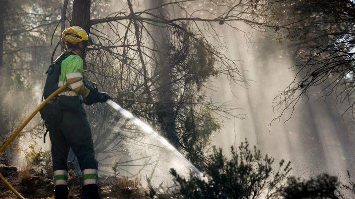 Telediario 1 - El incendio de Castellón da una tregua y algunos vecinos evacuados podrán volver a sus casas