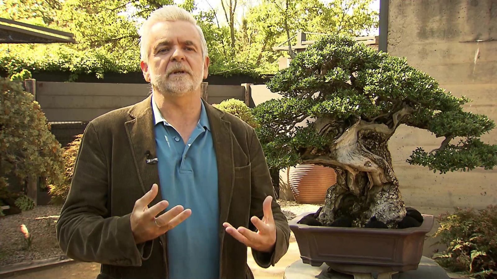 UNED - 31/03/23 - ver ahora