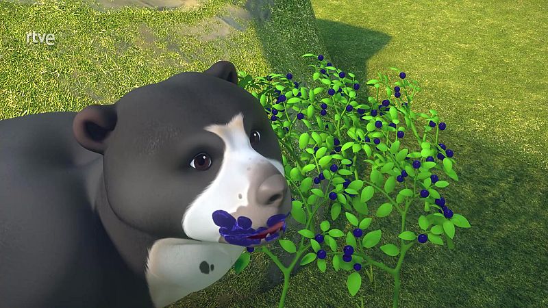 Misión - rescatar oso andino - Petronix | Ver