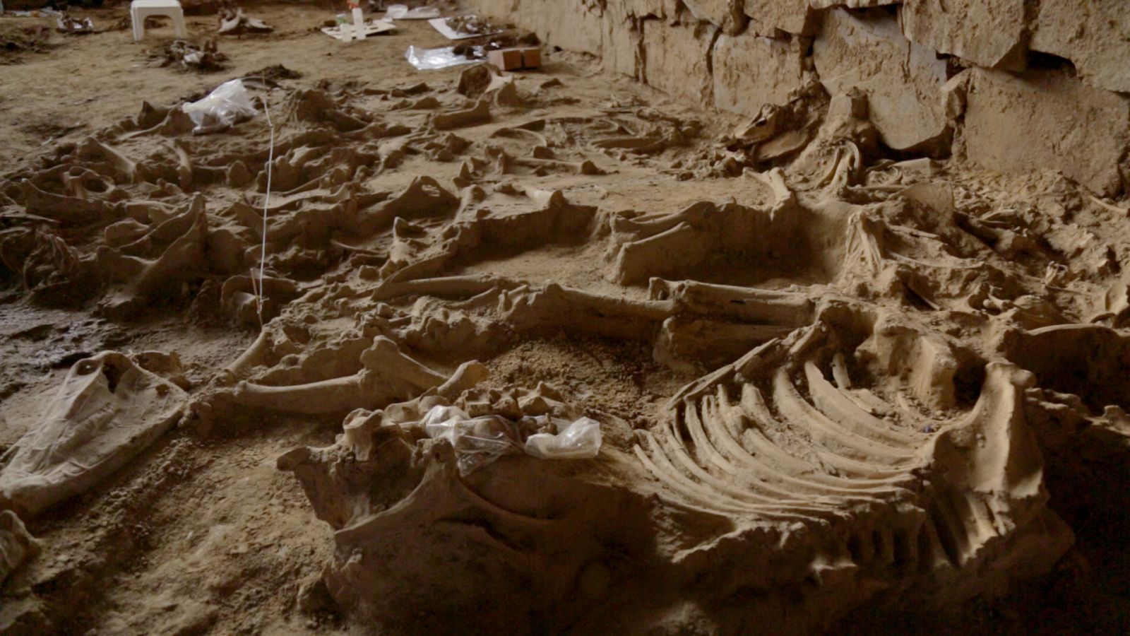 Arqueomanía - El día del juicio. Parte I - ver ahora