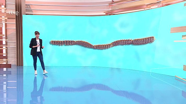 Ahora o nunca - Programa 48