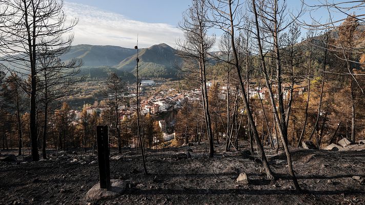 Telediario 1 - España vive una ola de incendios en pleno marzo