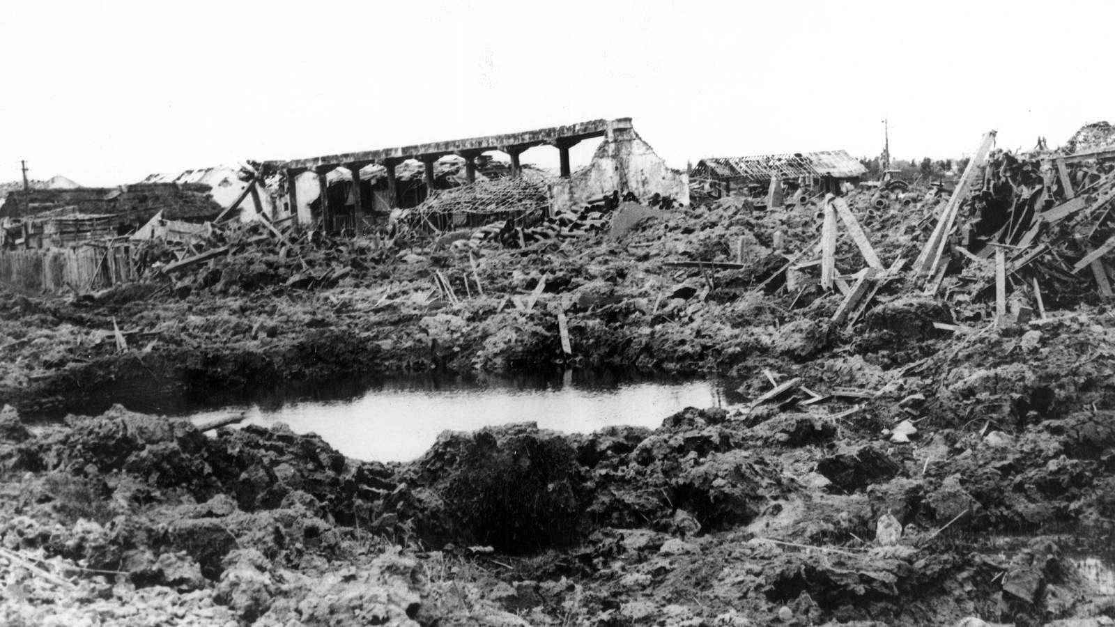 Entrevista de TVE a Diego Carcedo | Ver