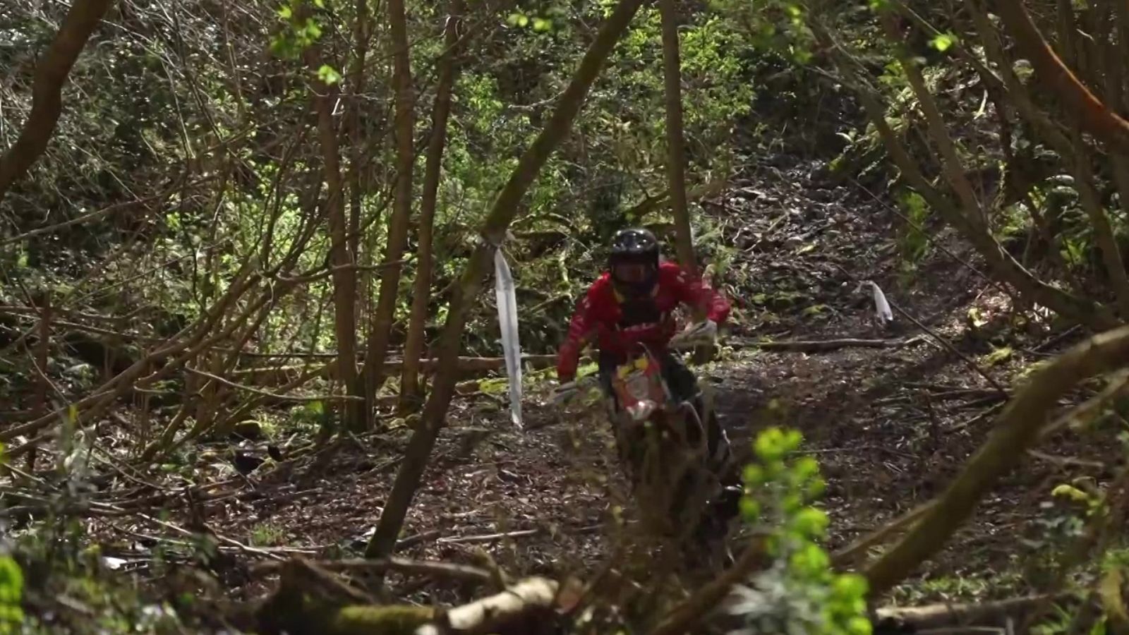 Moto Avenue - 2023 - Programa 8 - ver ahora