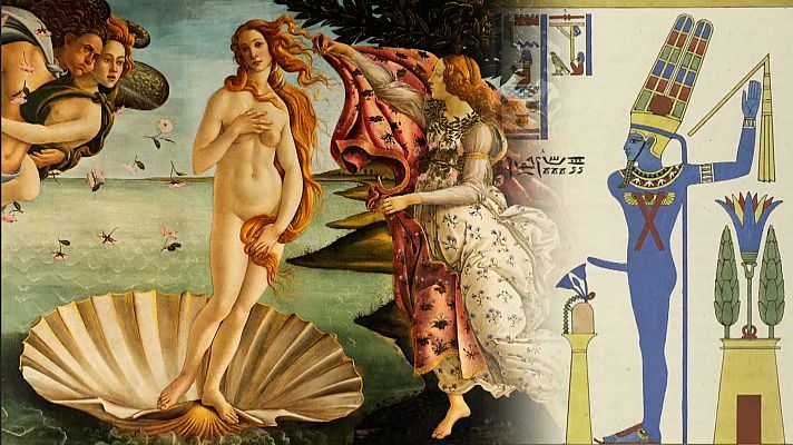 El condensador de fluzo - ¿Animales afordisiacos?