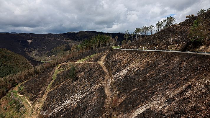 Telediario Fin de Semana - La lluvia ayuda a controlar los incendios en Asturias