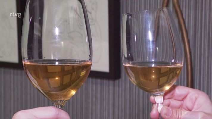 Parlamento - Vinos con Denominación de Origen