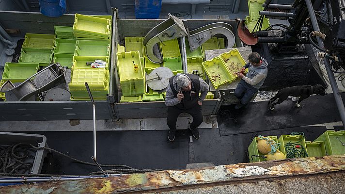 Telediario en lengua de signos - Telediario - 15 horas - 03/04/23 - Lengua de signos