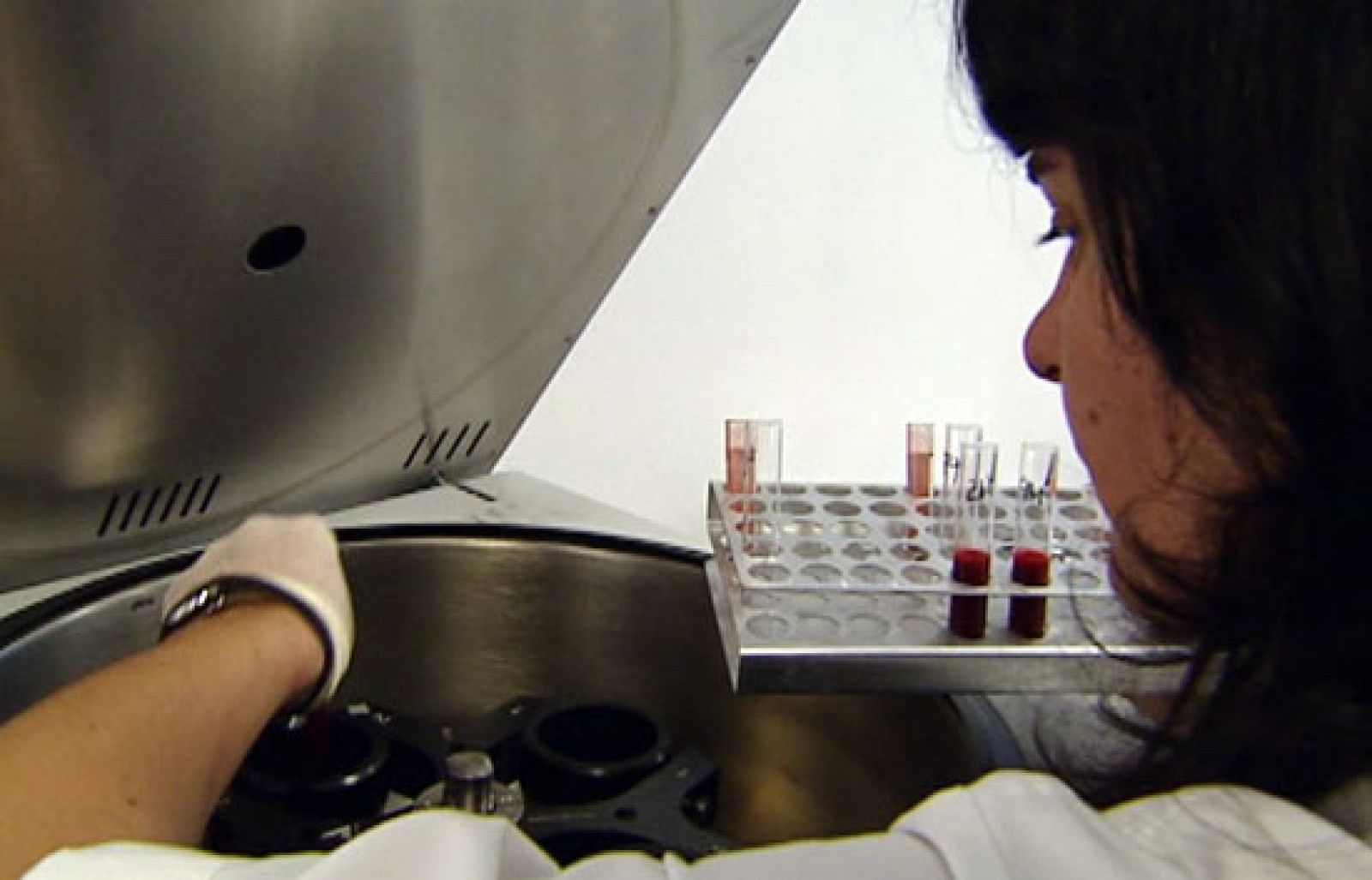 En España se diagnostican más de 200.000 casos de cáncer al año - Ciencia y tecnología en Rtve.es | Ver