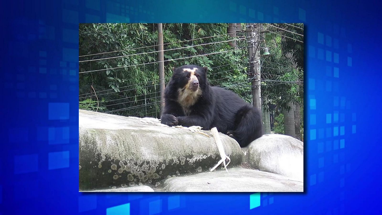 Saber y ganar - 13/04/23 - ver ahora