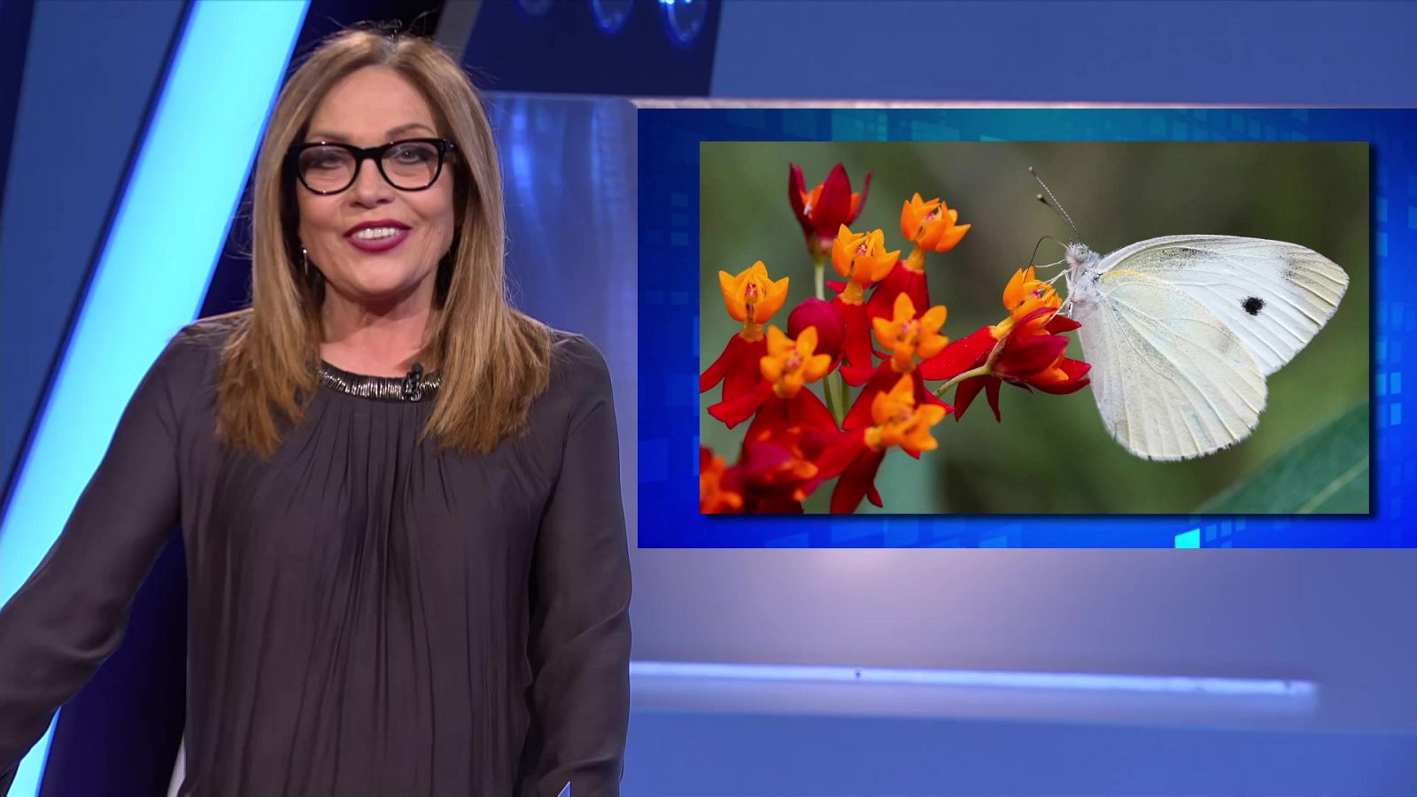 Saber y ganar. Edición de fin de semana - 09/04/23 - ver ahora