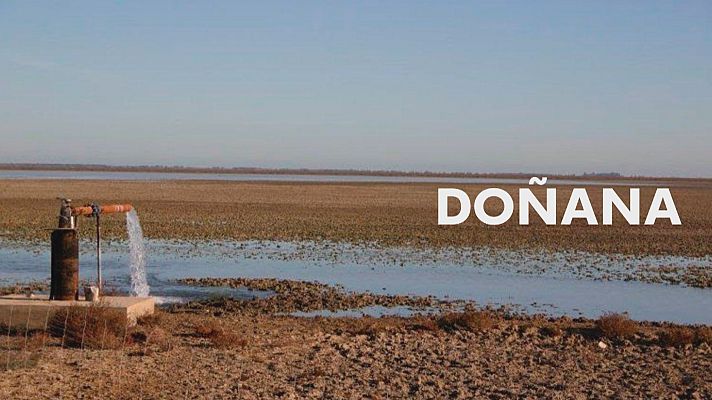 Noticias Andalucía - Consejo Participación Doñana