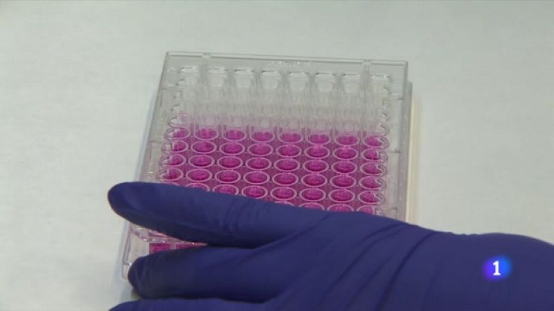 Per què alguns pacients de càncer de colon són resistents a la quimioteràpia?